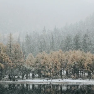 symptoms of seasonal affective disorder