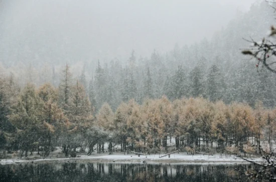 symptoms of seasonal affective disorder