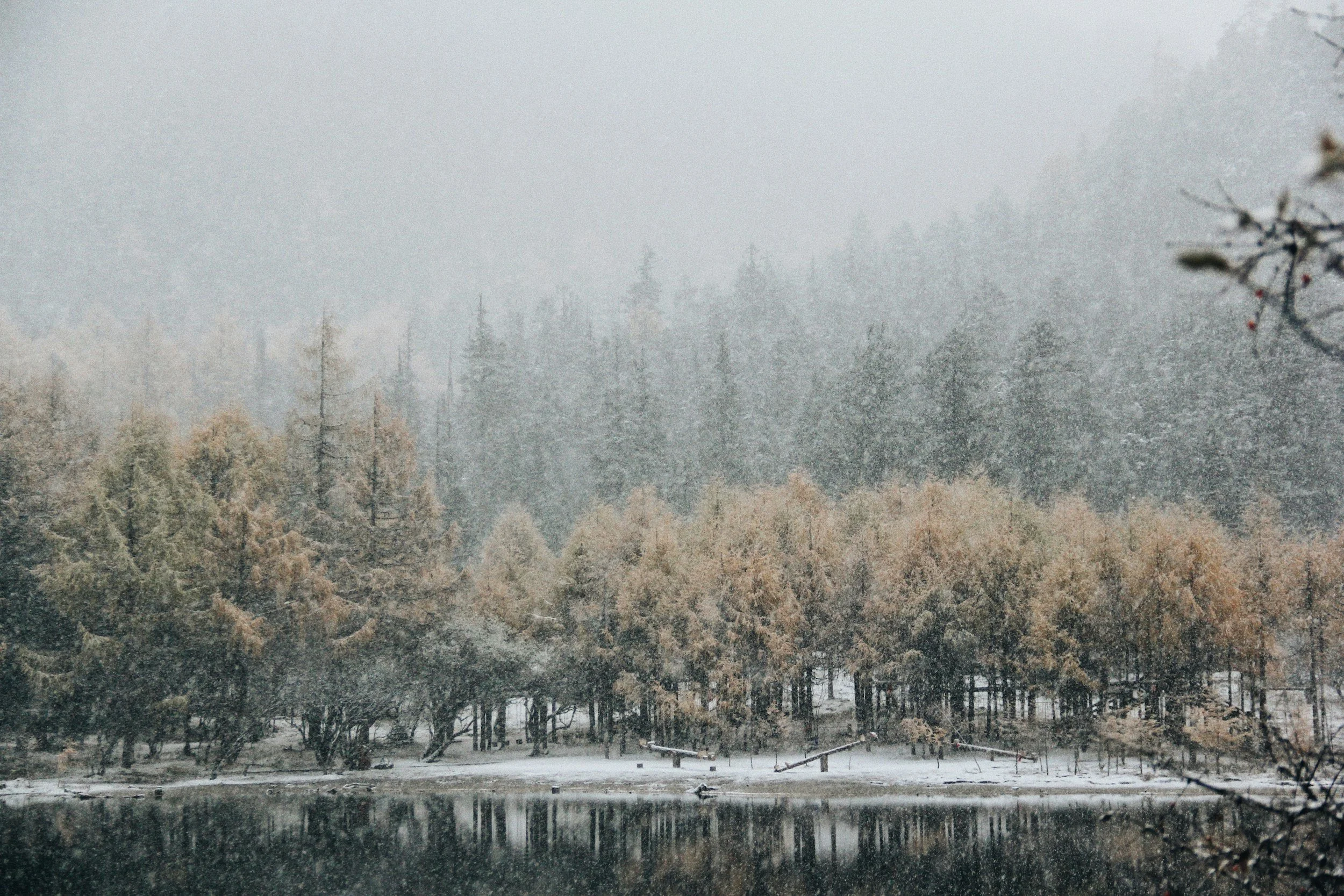 symptoms of seasonal affective disorder